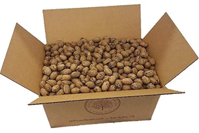 INSHELL Fresh Texas Pecans, 20 Pound Box | In Shell | Millican Pecan since 1888 | San Saba, Texas 485880097