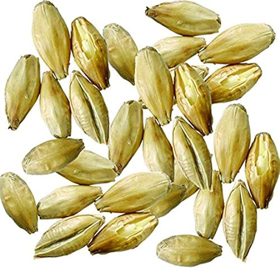 Malt - White Wheat - 5 lb Milled (Pack of 6) 470351412